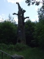 2011- 200.jpg